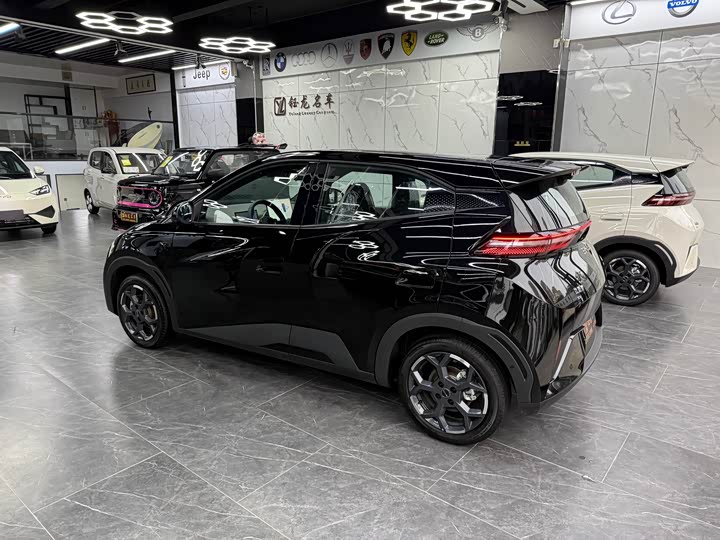 Фото 4 - BYD Seagull