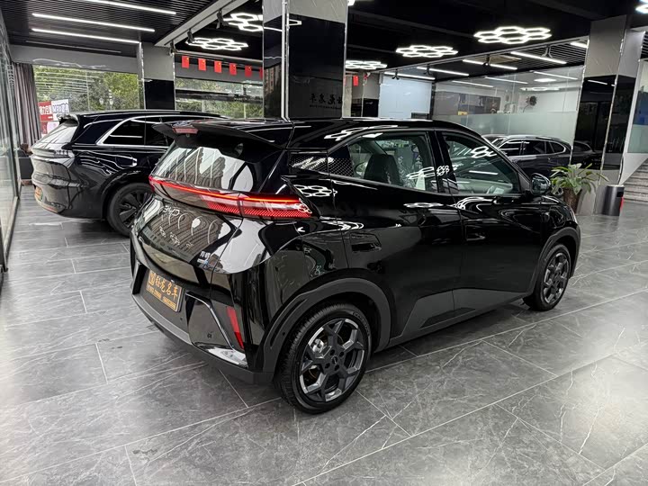 Фото 5 - BYD Seagull