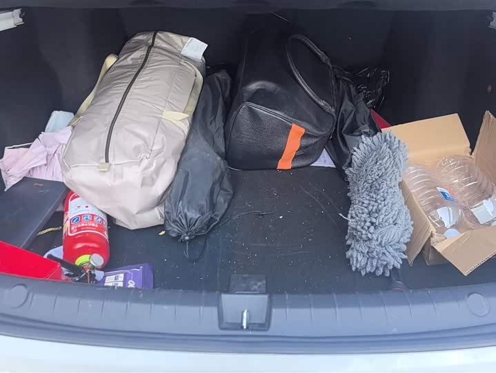 Фото 4 - BYD Qin Plus