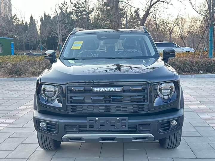 Фото 2 - Haval Dargo