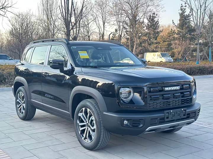 Фото 3 - Haval Dargo