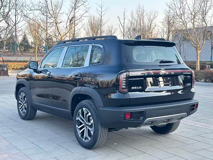 Фото 4 - Haval Dargo