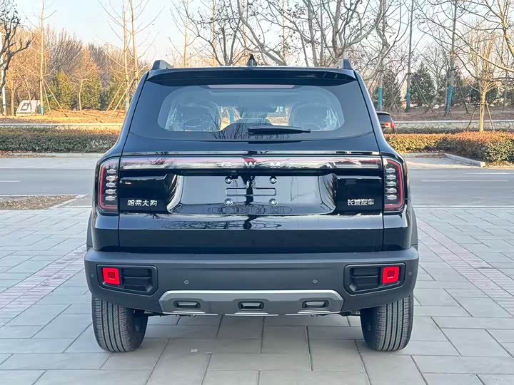 Фото 5 - Haval Dargo