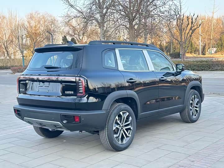 Фото 6 - Haval Dargo