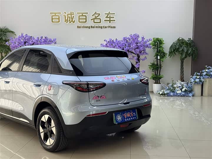 Фото 9 - Geely Galaxy Geome