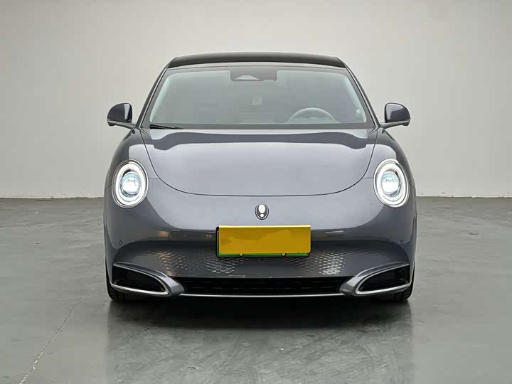 Фото 2 - Ora Lightning Cat (07)