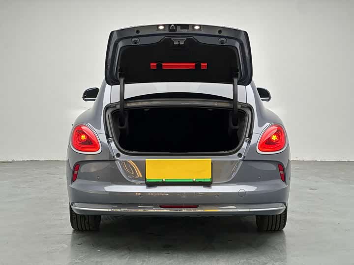 Фото 9 - Ora Lightning Cat (07)