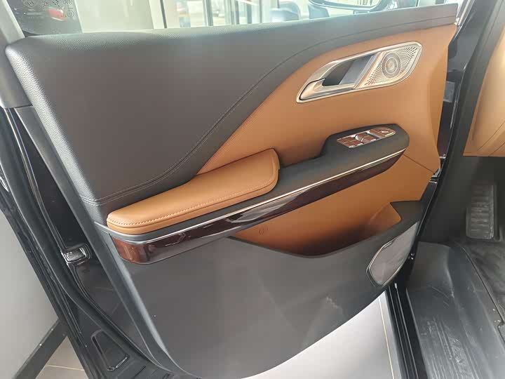 Фото 5 - Hongqi HQ9 Hybrid