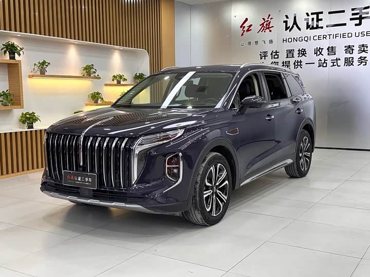 Фото 1 - Hongqi HS7
