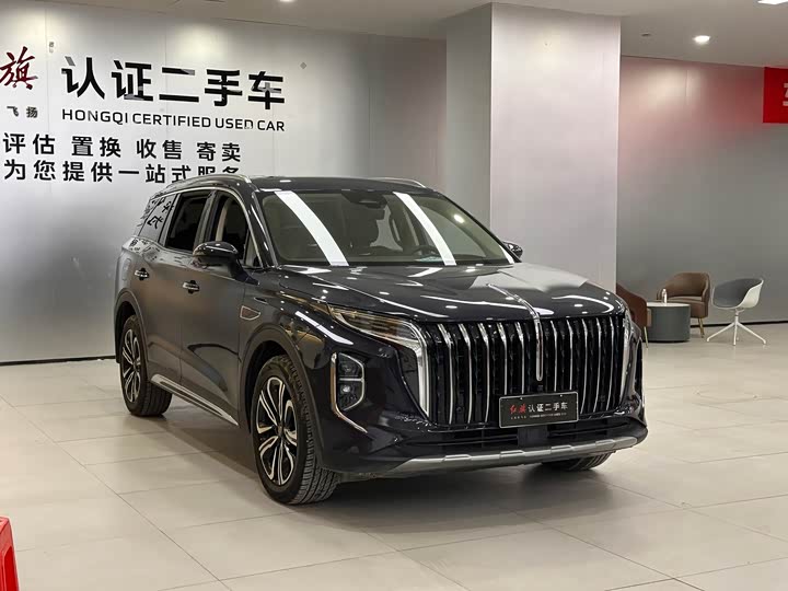 Фото 3 - Hongqi HS7