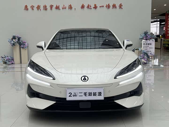 Фото 2 - Denza Z9GT