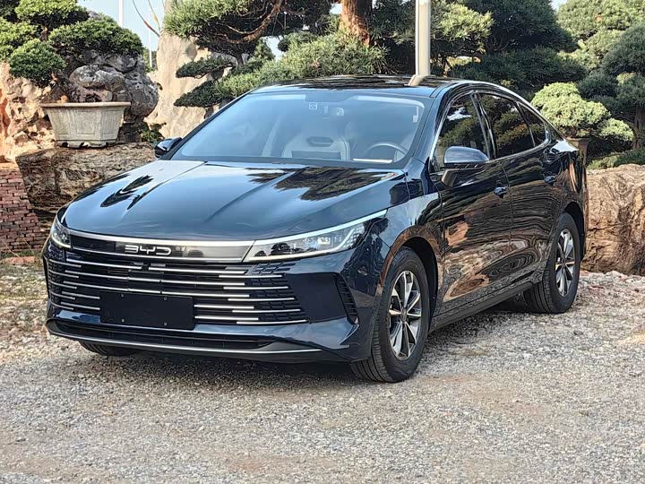 Фото 1 - BYD Destroyer 05