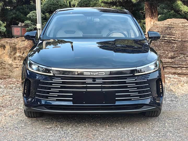 Фото 2 - BYD Destroyer 05