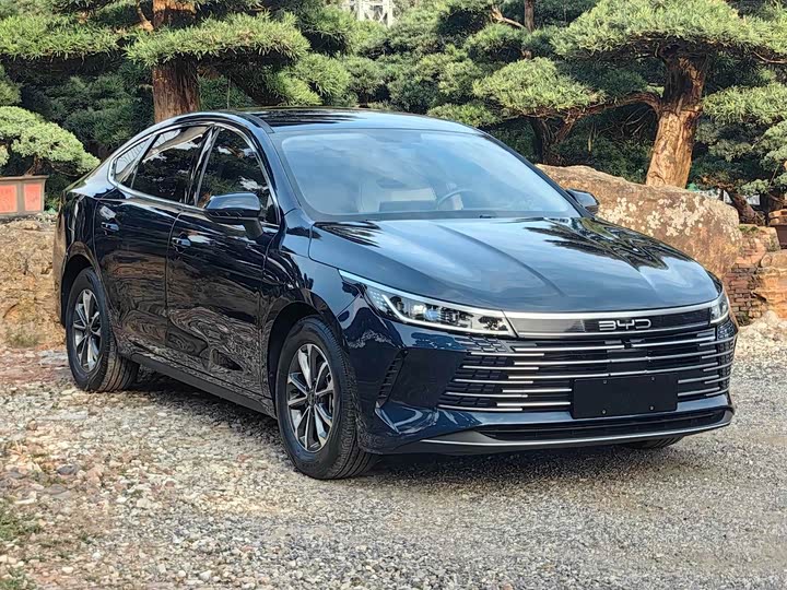 Фото 3 - BYD Destroyer 05