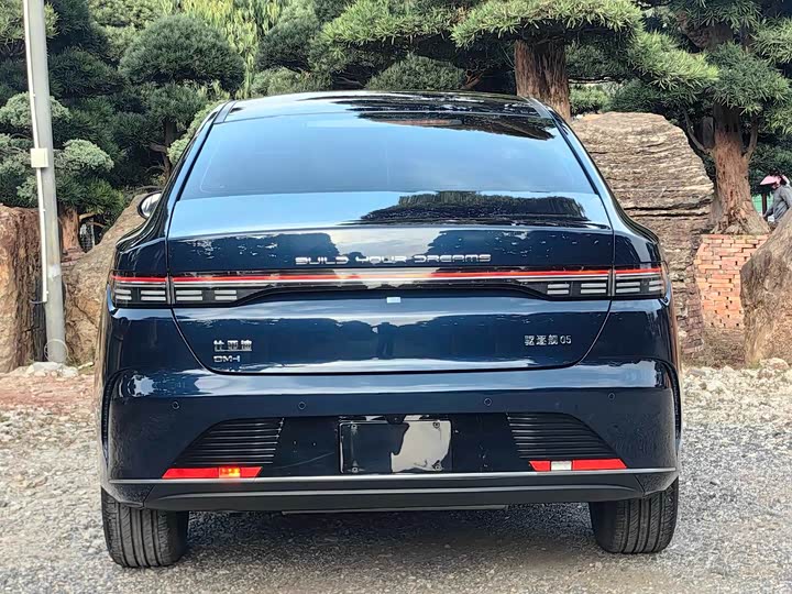 Фото 7 - BYD Destroyer 05