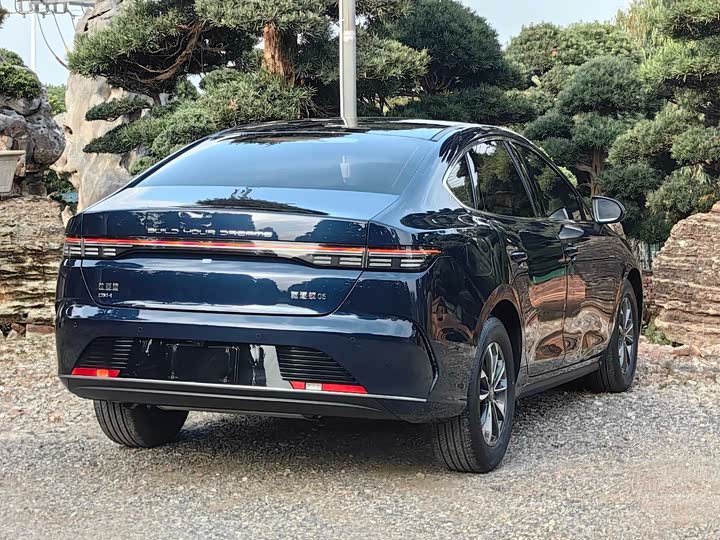 Фото 8 - BYD Destroyer 05