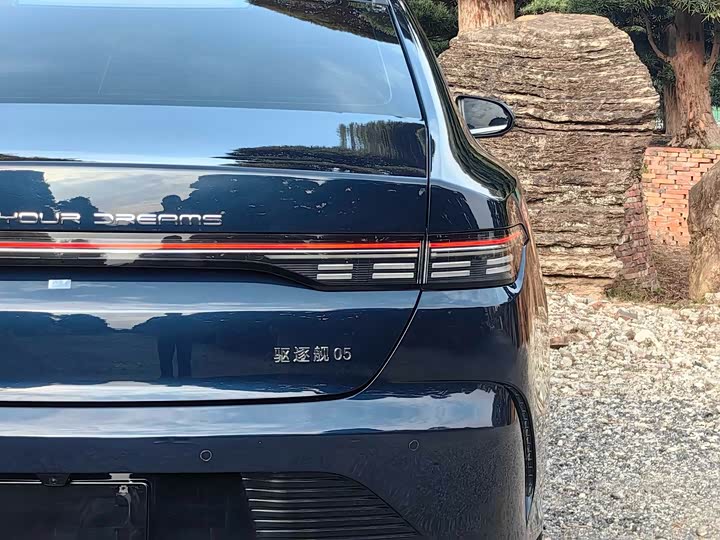 Фото 9 - BYD Destroyer 05