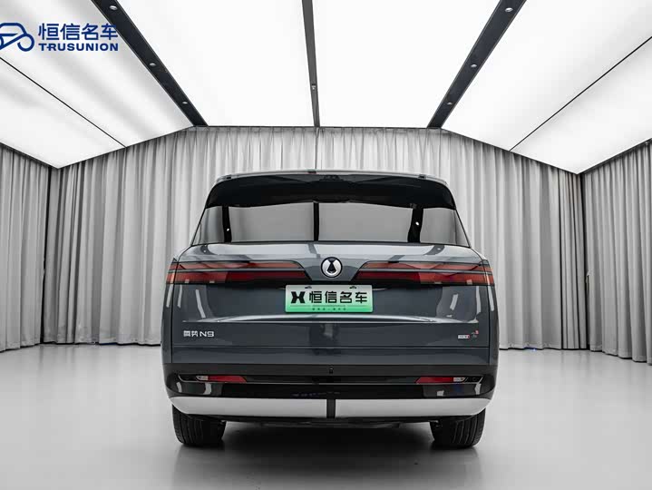 Фото 5 - Denza N9