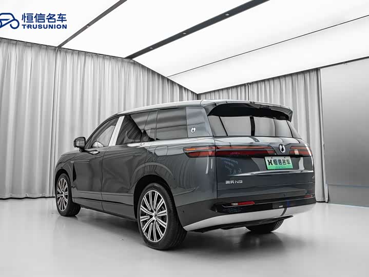 Фото 6 - Denza N9