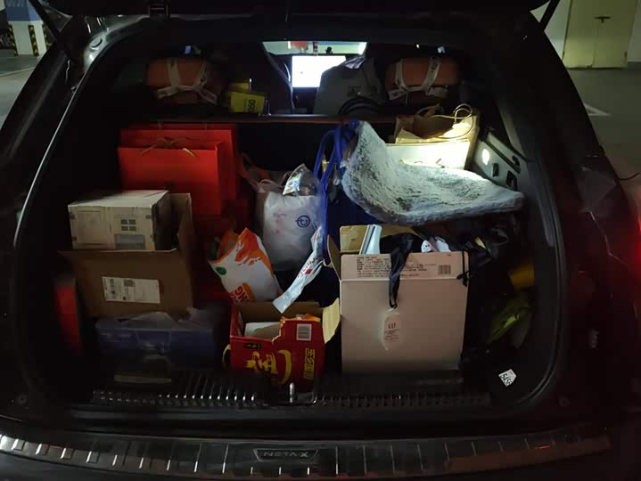 Фото 4 - Hozon X