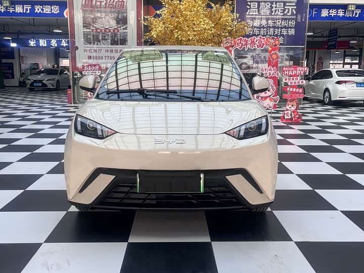 Фото 2 - BYD Seagull