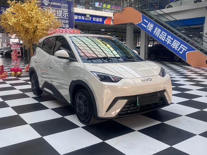 Фото 3 - BYD Seagull