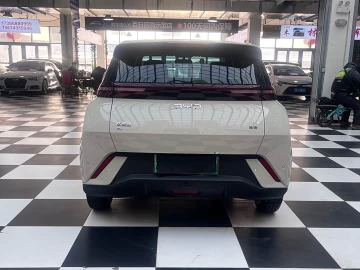 Фото 5 - BYD Seagull