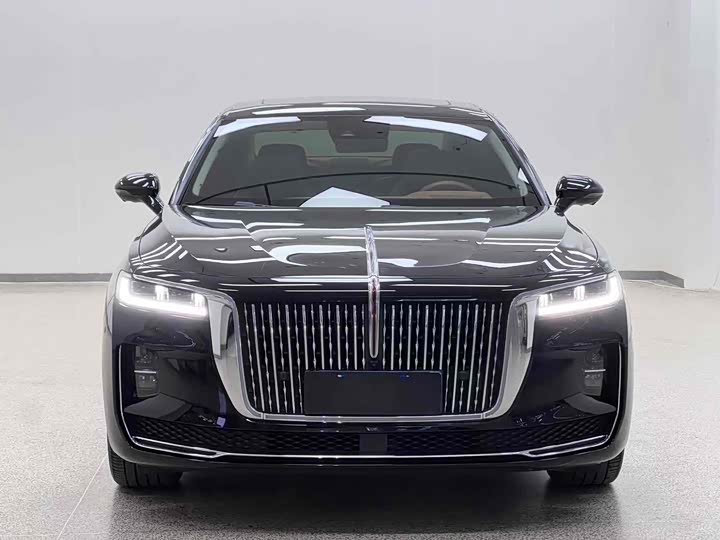 Фото 2 - Hongqi H9