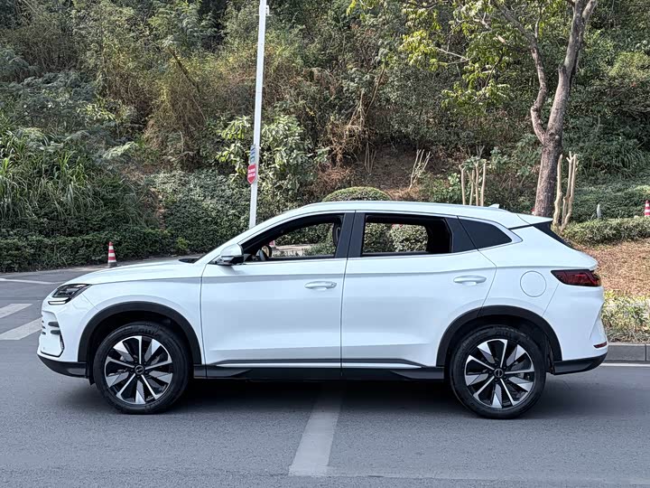 Фото 3 - BYD Song Plus Hybrid/EV