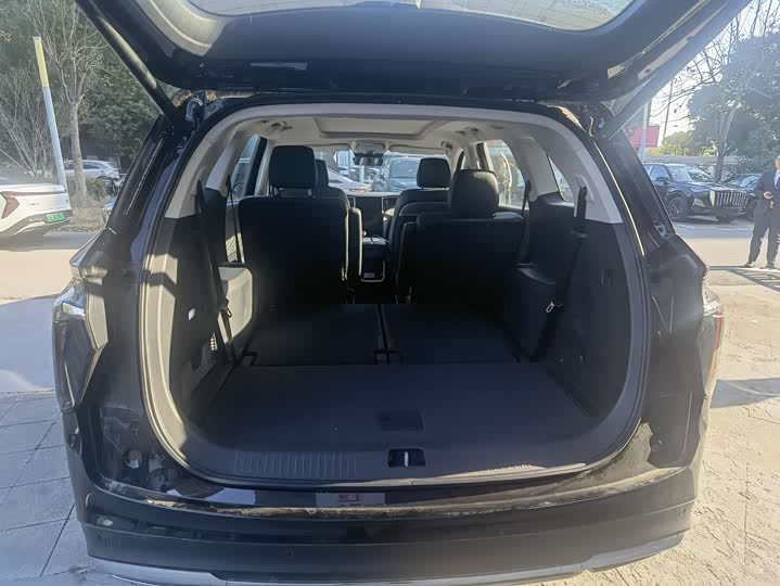 Фото 6 - Hongqi HS7 Hybrid