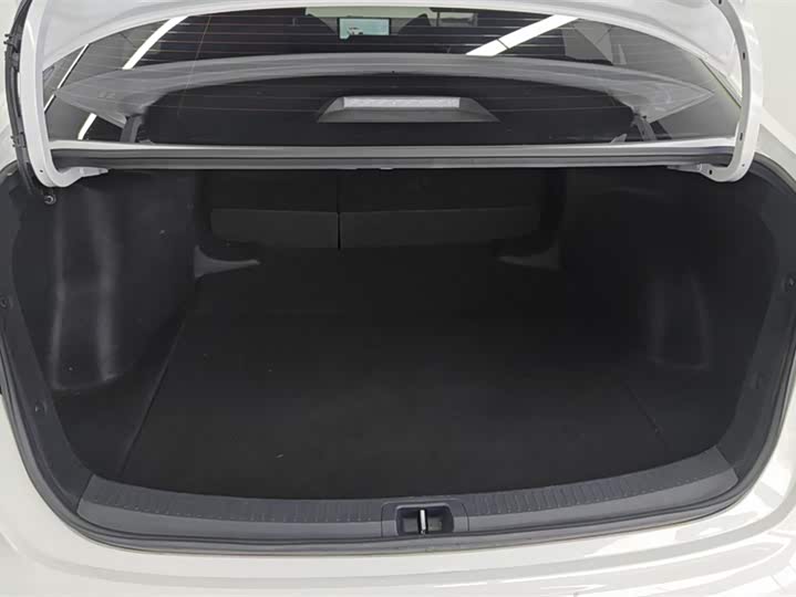 Фото 4 - Toyota Levin