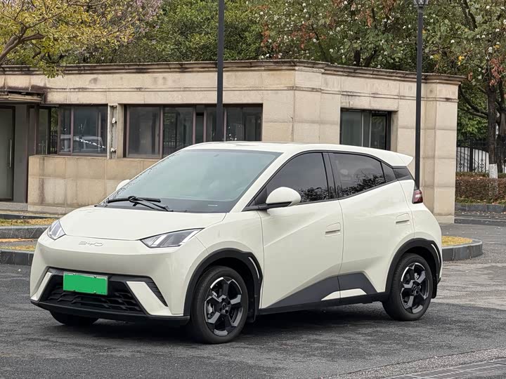 Фото 1 - BYD Seagull