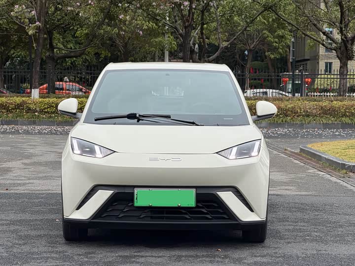 Фото 2 - BYD Seagull