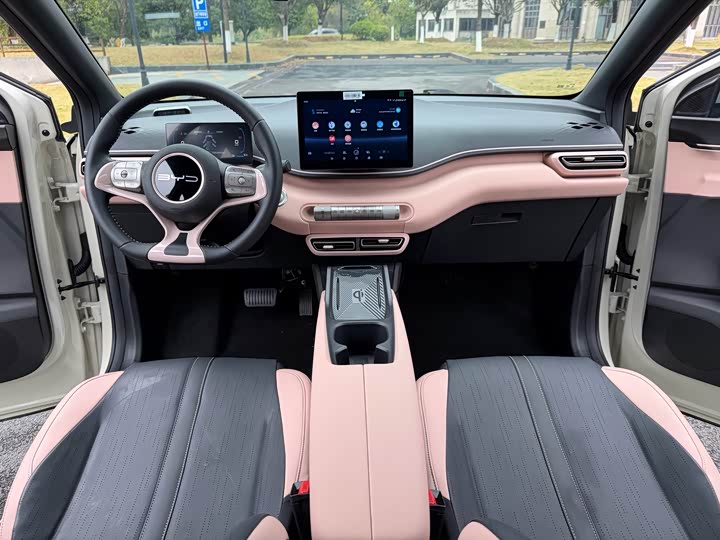 Фото 6 - BYD Seagull