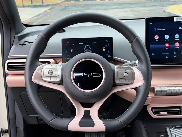 Фото 7 - BYD Seagull