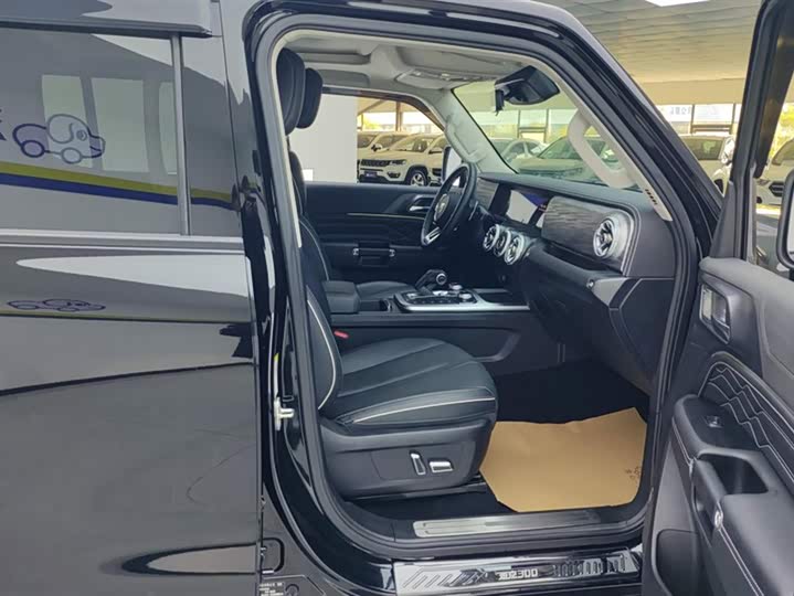 Фото 8 - Tank 300