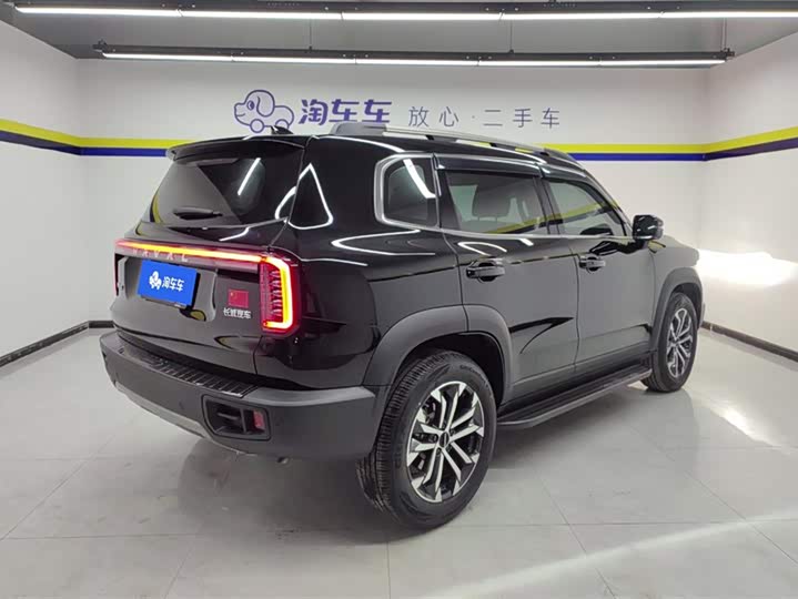 Фото 3 - Haval Dargo