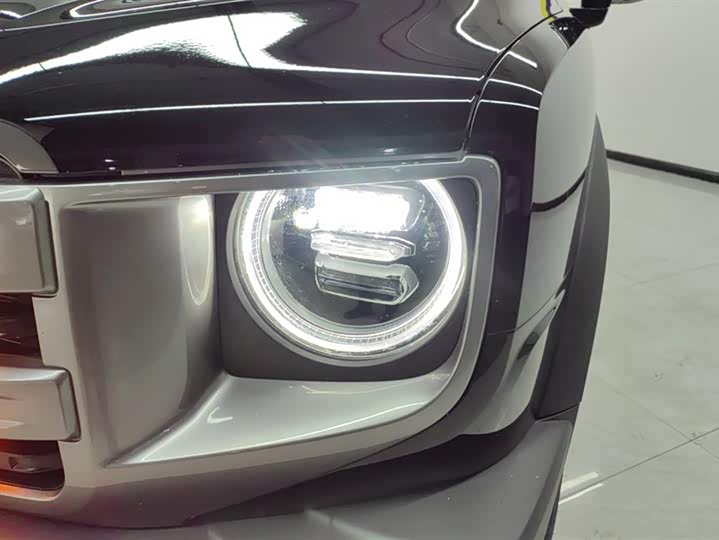 Фото 5 - Haval Dargo