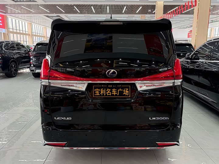 Фото 4 - Lexus LM