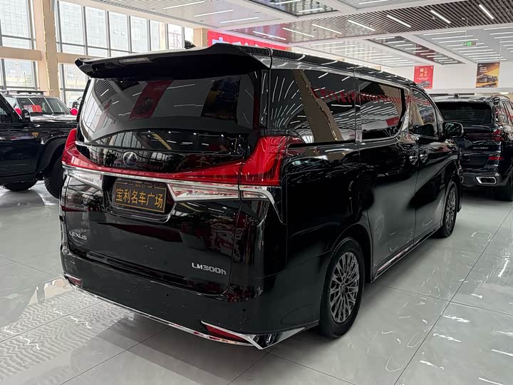 Фото 5 - Lexus LM