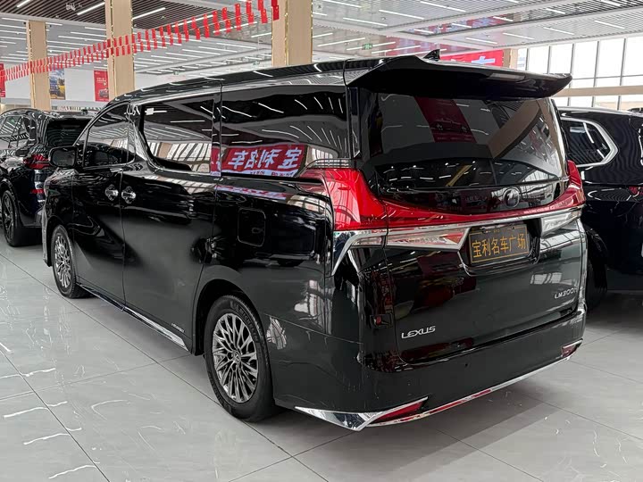 Фото 6 - Lexus LM