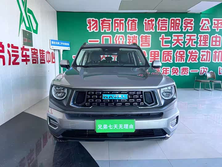 Фото 3 - Haval H-Dog Hybrid