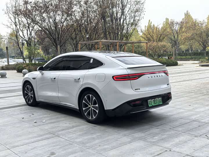 Фото 7 - Luxeed R7