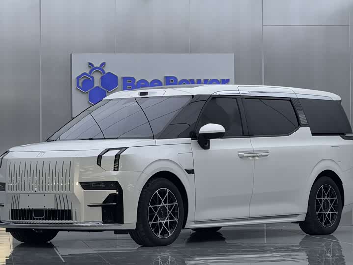 Фото 1 - Zeekr 009