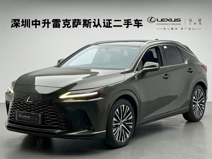 Фото 1 - Lexus RX Hybrid