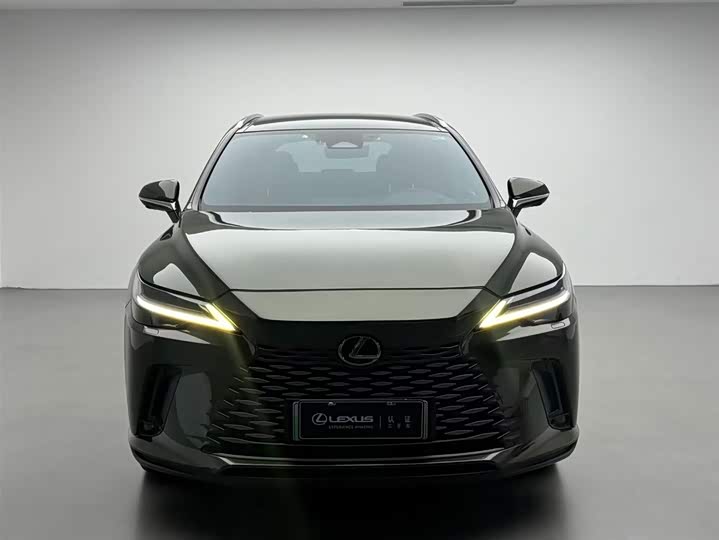 Фото 2 - Lexus RX Hybrid