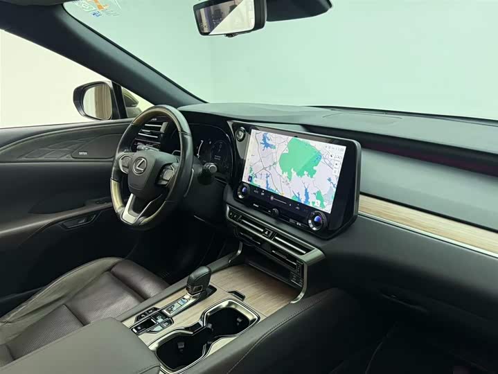 Фото 9 - Lexus RX Hybrid