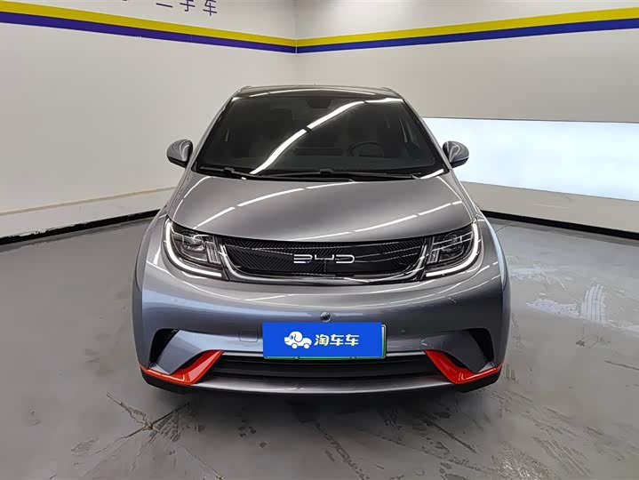 Фото 2 - BYD Dolphin