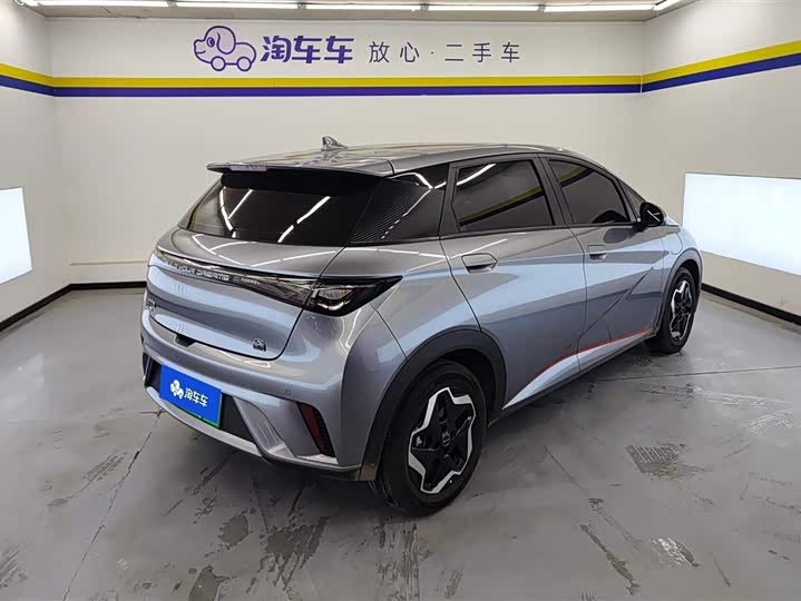 Фото 3 - BYD Dolphin