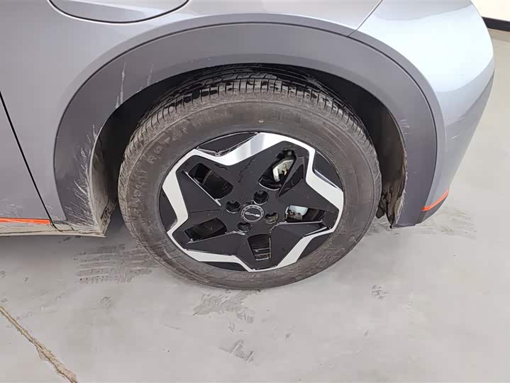 Фото 6 - BYD Dolphin